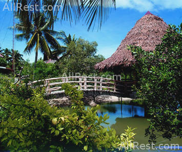 Badian Island Resort 5